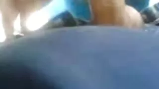 Gandon ass jāšanās sekis indi viņas brālēns